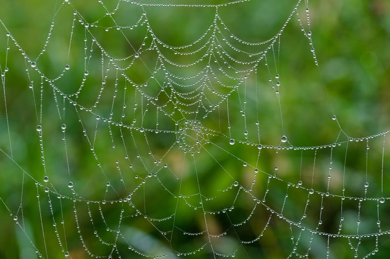 Environmental Photography